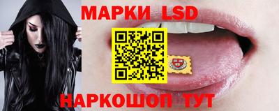 гашик Берёзовский