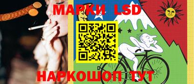 гашик Берёзовский