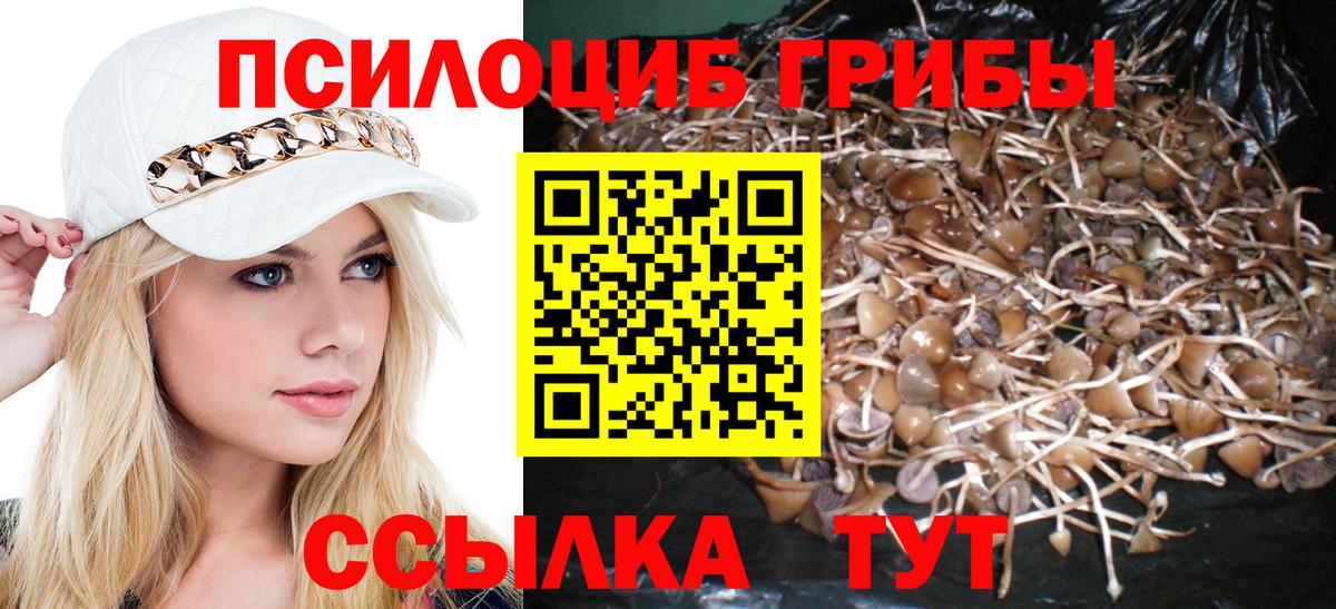Галлюциногенные грибы мухоморы  Вход с VPN  Псилоцибиновые грибы мицелий  Кирово-Чепецк 